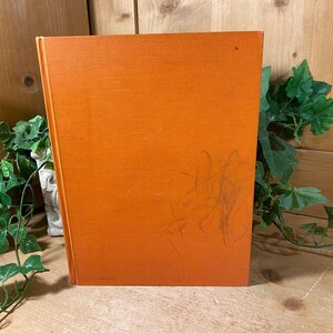 Vintage Book: Drums | James Boyd | 1965 | Illustrated History Book | Novel | Johnny Fraser - American Revolutionary War | Orange Hardcover