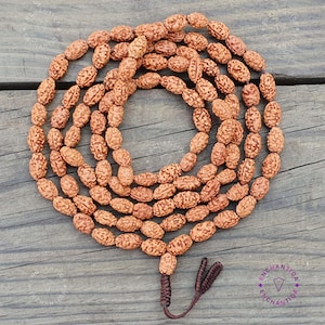 May include: A necklace of brown prayer beads, possibly made from seeds or nuts, displayed in a circular arrangement. The oval-shaped beads have a textured surface and are strung together with a brown cord. The image is taken from a top-down perspective.