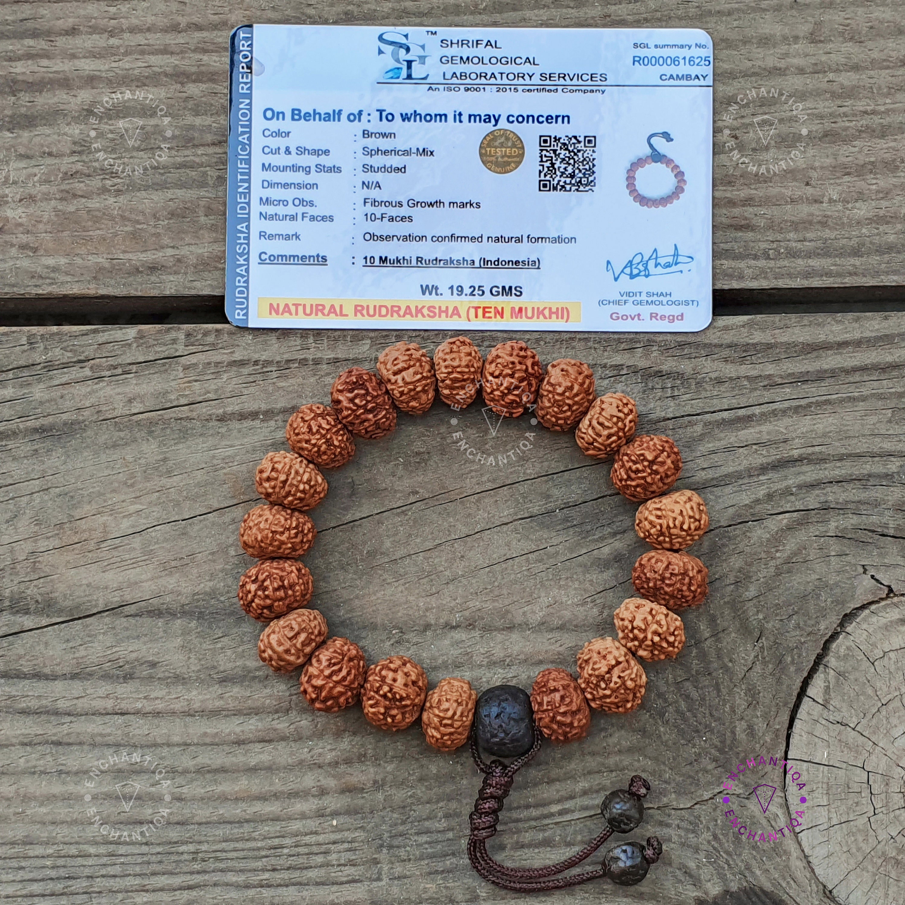 10 ムキ ルドラクシャ ブレスレット: ジャワシード、瞑想マラ - Etsy 日本