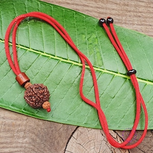 6 mukhi Rudraksha, Adjustable Rudraksha Pendant, Nepa Rudraksha Bead, Rudraksha necklace, 6 Face Rudraksha Seed, Shiva Rudraksha