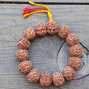 Nepal 5 Mukhi Rudraksha Armband, Rudraksha 5 Gesichter Große Perlen 20 MM Handgelenk Mala Armbänder mit mehrfarbigem verstellbarem Schiebeknotenverschluss