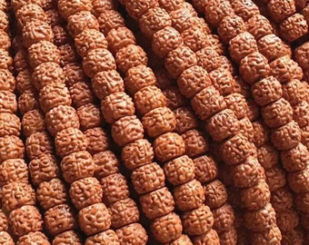 5 Mukhi Natural Chikna Indonesian Rudraksha Beads Round Loose Beads  6MM, 7MM, 8MM, 9MM & 10MM For Making Mala Necklace