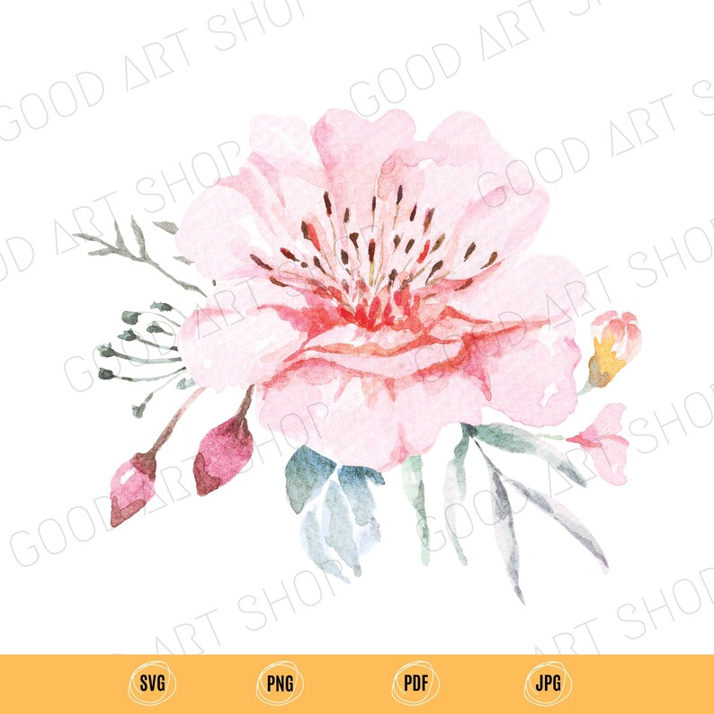 Download 9 Watercolor Floral Clip Art U2022 Watercolour Flower Clipart U2022 Svg Transparent Background U2022 Png No Water Mark U2022 Pdf Printing Quality 300dpi U2022 Art Collectibles Drawing Illustration Timeglobaltech Com