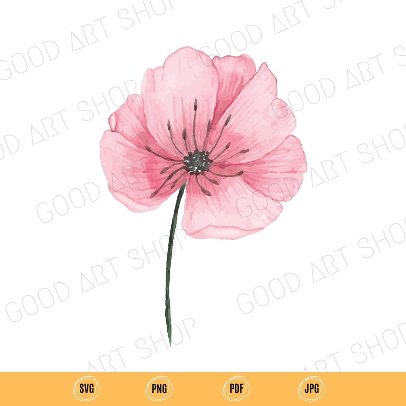 Download 9 Watercolor Floral Clip Art U2022 Watercolour Flower Clipart U2022 Svg Transparent Background U2022 Png No Water Mark U2022 Pdf Printing Quality 300dpi U2022 Art Collectibles Drawing Illustration Puhlsphotography Com