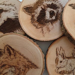 May include: Five wooden coasters featuring different animal designs burned into the surface. The designs include a badger, raccoon, owl, fox, and squirrel.