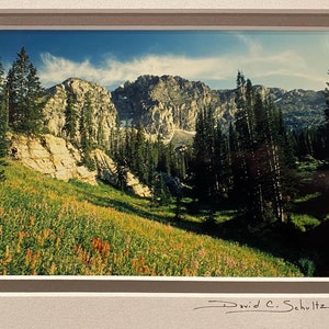 May include: A scenic photograph of a mountain range with a lush green valley in the foreground. The valley is filled with wildflowers and trees. The mountains are rocky and jagged, with a blue sky above. The image is signed by David C. Schultz.
