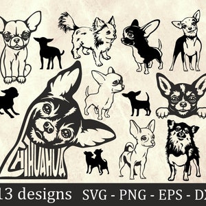 Chihuahua SVG bundle, dog svg cricut, cute animal face, dog digital portrait, puppy clipart pet, Chihuahua Silhouette, Chihuahua Vector dxf
