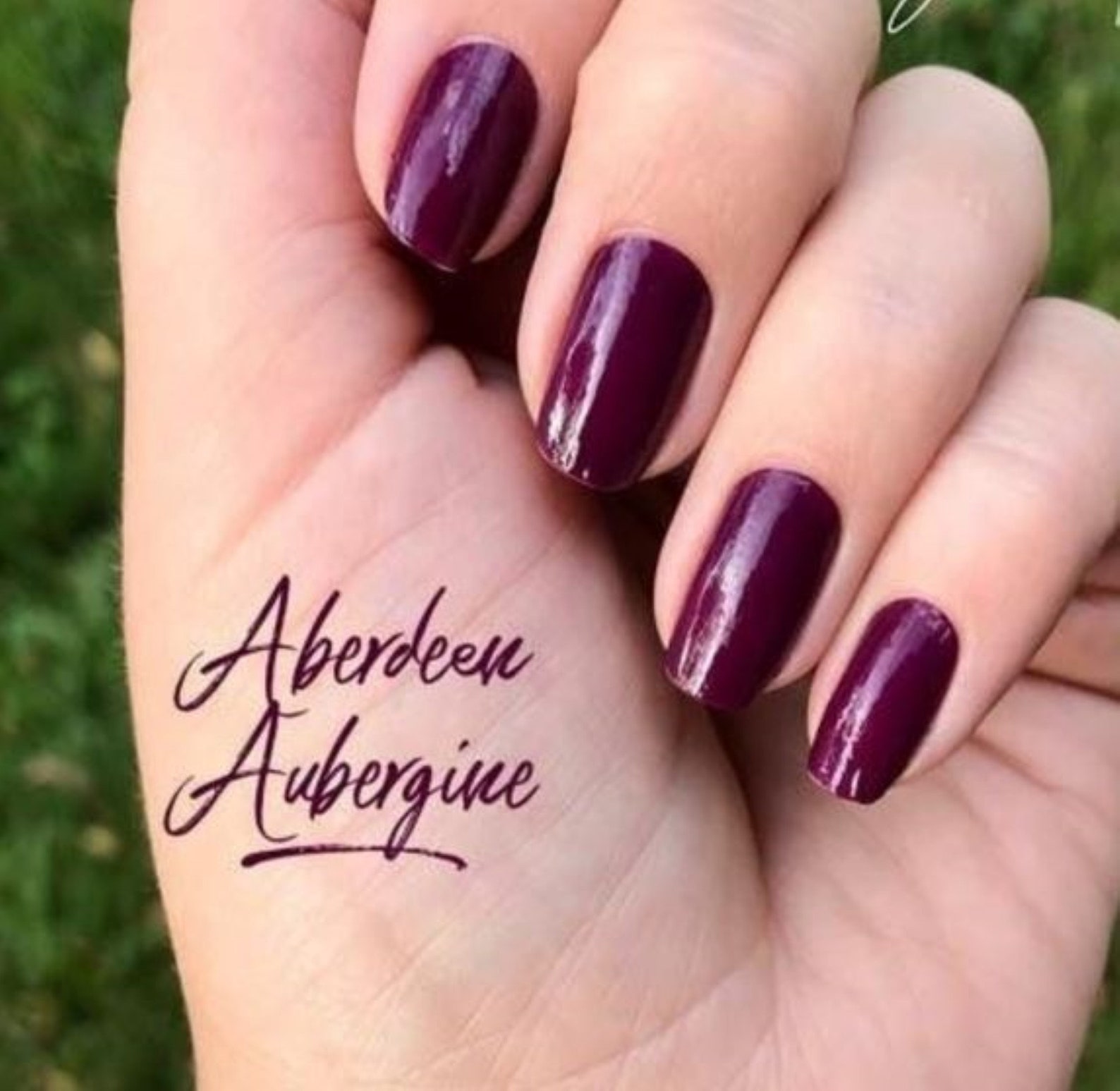 Aberdeen Aubergine Color Street Nail Polish Strips Etsy.de