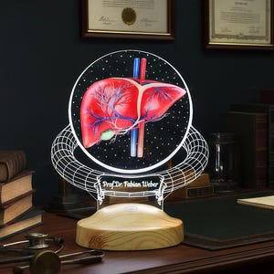 May include: A decorative lamp featuring a detailed, illuminated anatomical model of a liver. The red and blue organ is set against a black background with white dots, supported by a wireframe design and a wooden base. The text "Prof. Dr. Fabian Weber" is visible.