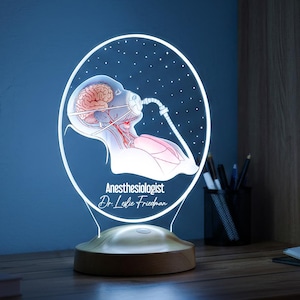May include: An illuminated night light featuring a medical illustration of a brain and respiratory system, with the text "Anesthesiologist Dr. Leslie Friedman". The light has a wooden base and a clear, oval-shaped acrylic panel.