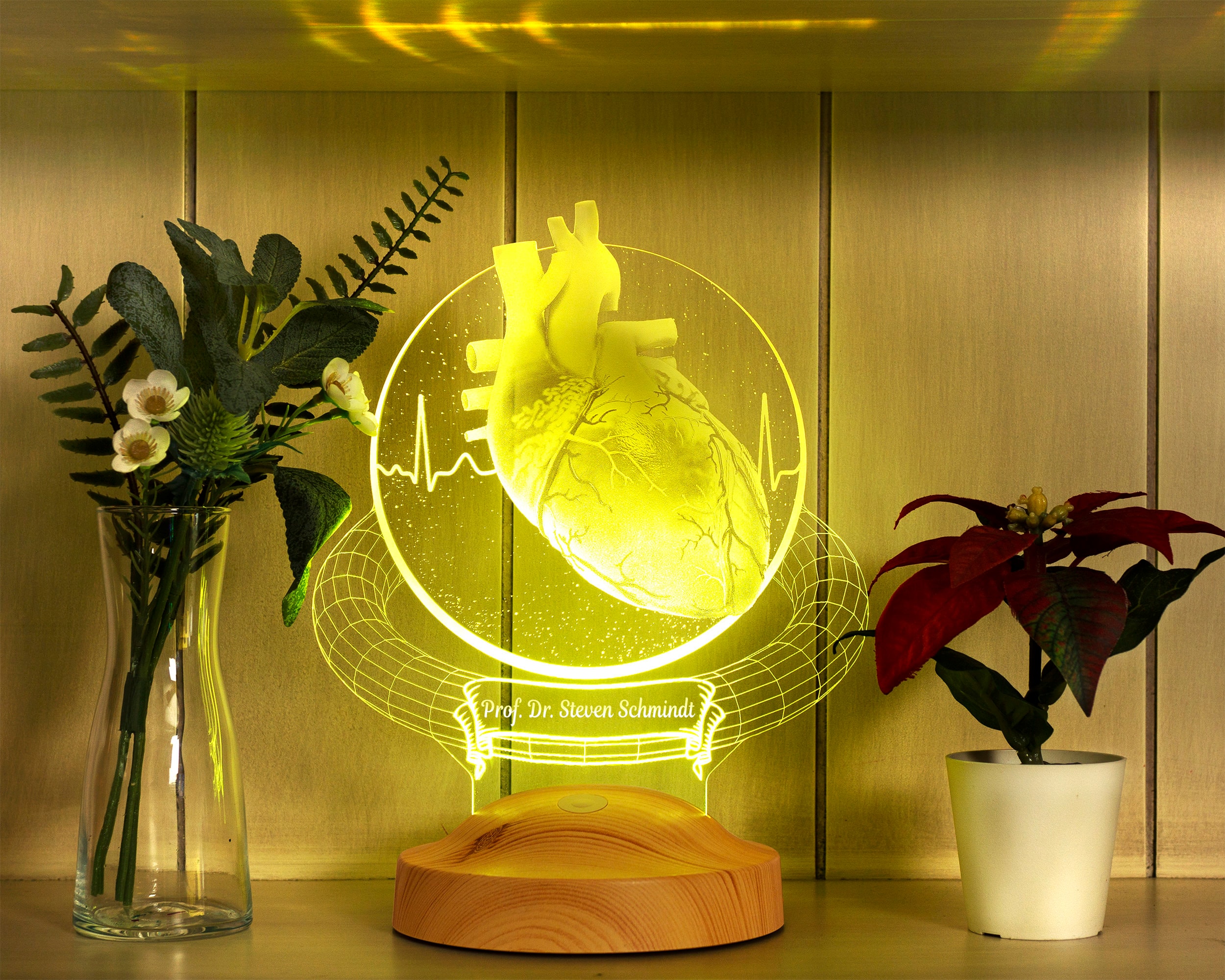 Heart Surgeon Personalized 3D Lamp, Cardiologist Gift, Heart Specialist Unique Doctor Gift,Customized Gifts for Heart Doctor,Cardio thoracic