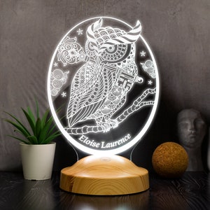 Personalized Owl Gift, Owl 3D LED Lamp, Perfect Gift for Owl Lovers, Owl Night Light, Gift for Girls,  Birthday Gift, Custom Night Light