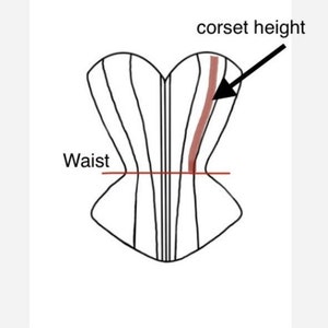 May include: A black and white line drawing of a corset with the text "corset height" and an arrow pointing to the top of the corset. A red line is drawn across the middle of the corset with the text "Waist" below it.