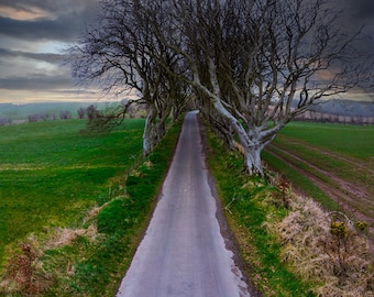 Los setos oscuros - Juego de Tronos