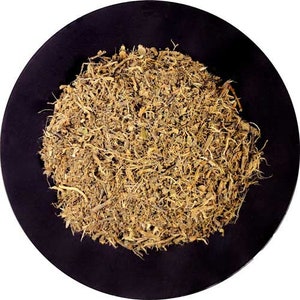Premium Kanna | Sceletium tortuosum