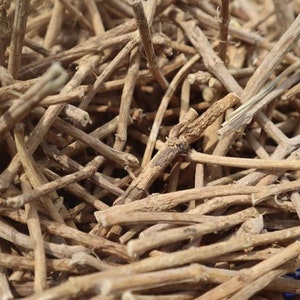 African Dream Herbs Sampler Combo - Dream Root & Dream Beans