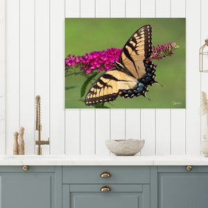 May include: A yellow and black swallowtail butterfly with blue markings on its wings is perched on a pink flower cluster. The butterfly is in focus, while the background is a blurred green.