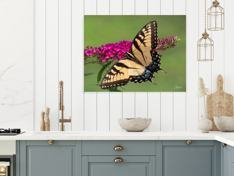May include: A yellow and black swallowtail butterfly with blue markings on its wings is perched on a pink flower cluster. The butterfly is in focus, while the background is a blurred green.