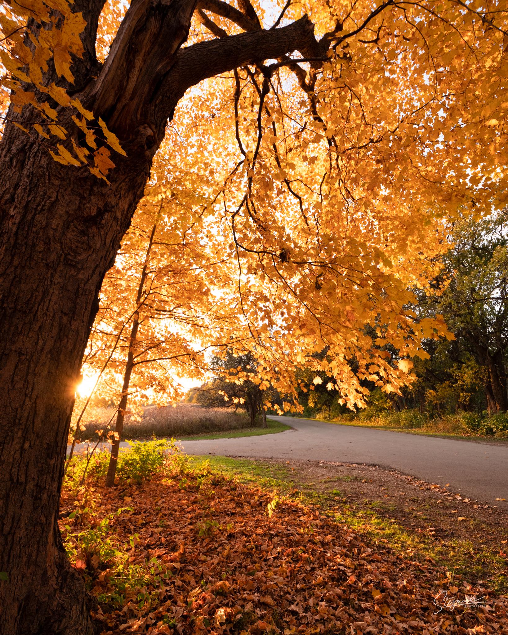Jubilee State Park