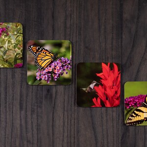 May include: Four square coasters featuring close-up images of butterflies and hummingbirds on flowers. The coasters feature a monarch butterfly, a swallowtail butterfly, a hummingbird on a red flower, and a hummingbird on purple flowers.