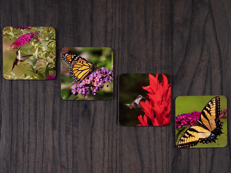 May include: Four square coasters featuring close-up images of butterflies and hummingbirds on flowers. The coasters feature a monarch butterfly, a swallowtail butterfly, a hummingbird on a red flower, and a hummingbird on purple flowers.