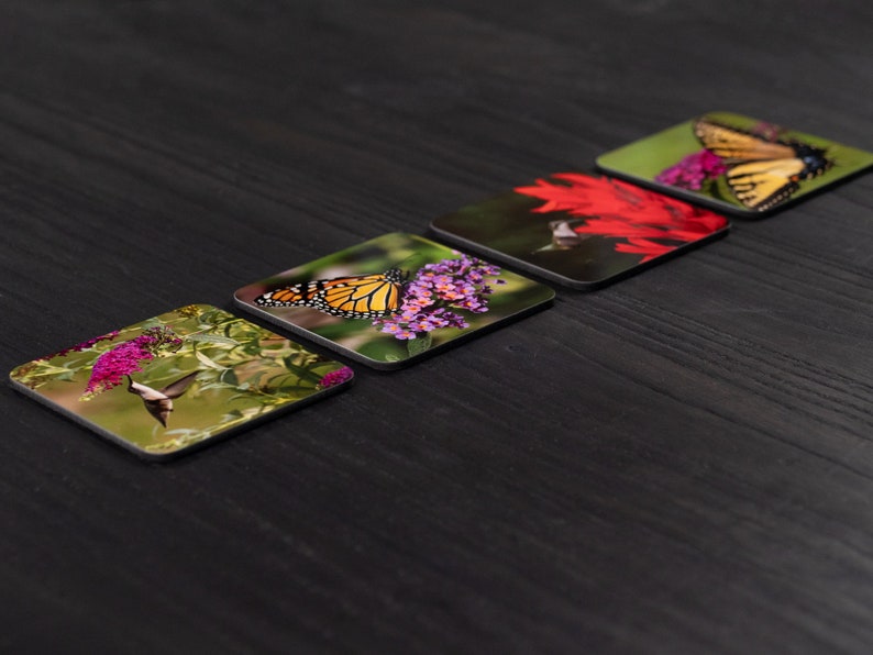 May include: Four square coasters with different images of butterflies and hummingbirds on a dark wood surface. The coasters feature a variety of colors, including red, yellow, orange, green, and purple.