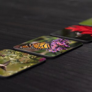 May include: Four square coasters with different nature-themed designs. The coasters feature a hummingbird, a butterfly, a flower, and a red flower. The coasters are made of a durable material and are perfect for protecting your furniture from scratches and spills.