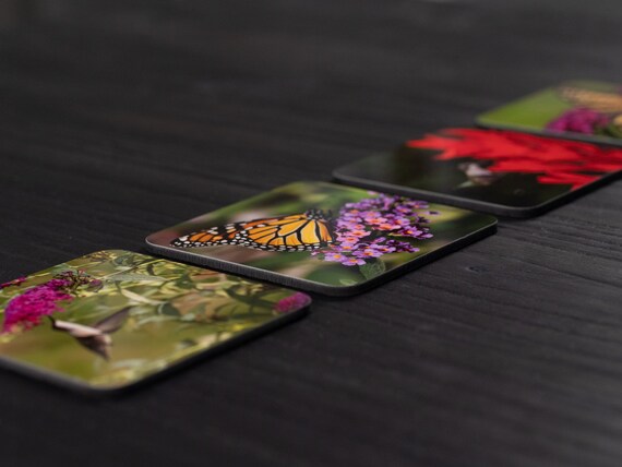 Hummingbird and Butterfly Photography Coasters, Nature Metal Print Set