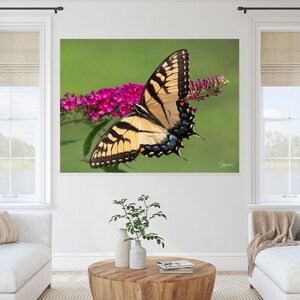 May include: A yellow and black swallowtail butterfly with blue markings on its wings is perched on a cluster of pink flowers with green foliage in the background.