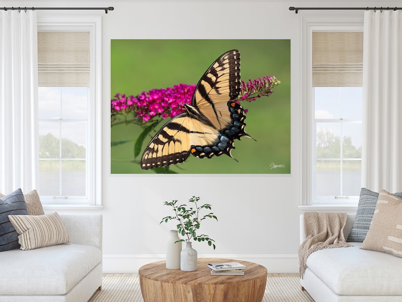 May include: A yellow and black swallowtail butterfly with blue markings on its wings is perched on a cluster of pink flowers with green foliage in the background.