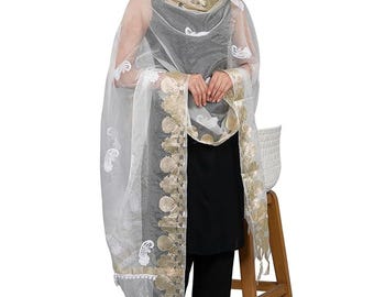 Handmade  Lucknow Chikankari Organza Fabric Dupatta with Zari Border | Hand Embroidered Indian Scarf