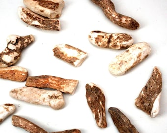 x1 Whole Devil's Grape Root (Black Bryony) - success money happiness - voodoo hoodoo santeria wicca witch altar green magic pagan