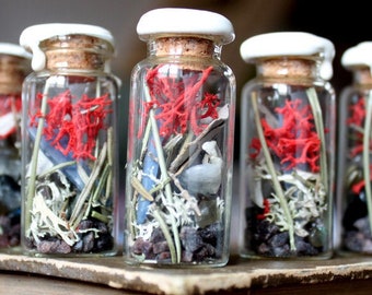 Protection des sorcières - pot de sorcière - spell jar - amulette - talisman - autel ou maison - sorcière -plantes sel cristaux fiole verre