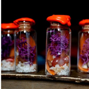 New work - witch's pot - spell jar - amulet - talisman - altar or home protection - witch - salt and crystal plants