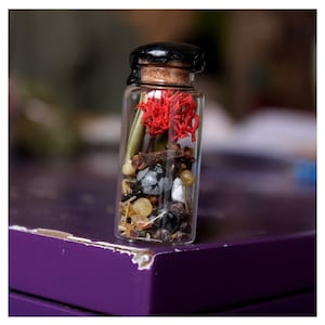 May include: A small glass bottle with a cork stopper and a black wax seal. The bottle contains red coral, cloves, and small stones. The bottle is on a purple surface.