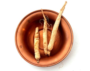 x1 Ginseng root (mandrake substitute) for wishes - voodoo hoodoo santeria - wicca - witch - altar - green magic - pagan