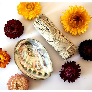 Può includere: Un bastoncino di salvia bianca legato con spago, una conchiglia di abalone bianca e fiori secchi in tonalità di giallo, marrone e bordeaux.