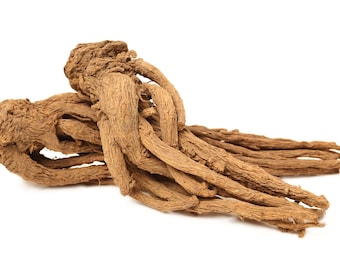 1 Raíz Maestra (raíz de angélica entera) para protección - vudú hoodoo santería - wicca - bruja - altar - magia verde - pagano