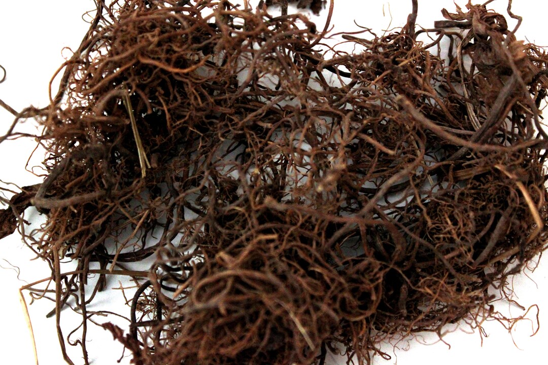 Voodoo Roots Valerian Roots (rootlets) 5 Grams - Protection, Love, Calming - Voodoo ...