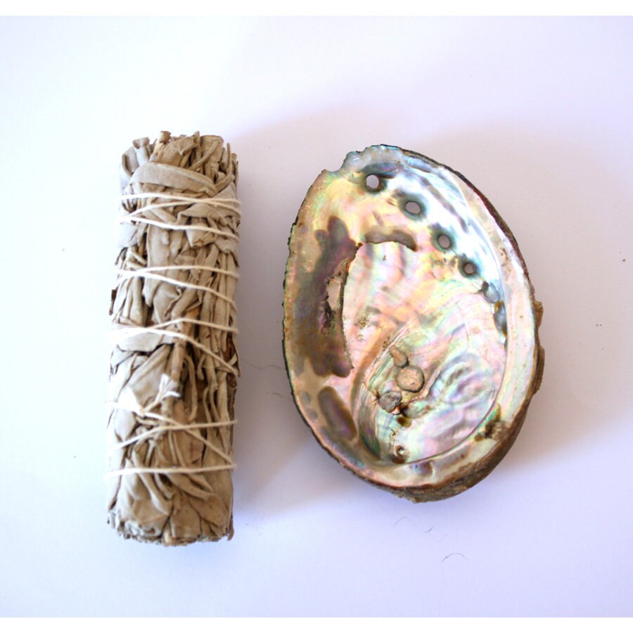Witte salie smudge stick (Salvia Apiana) 20-30g - Heksen webshop