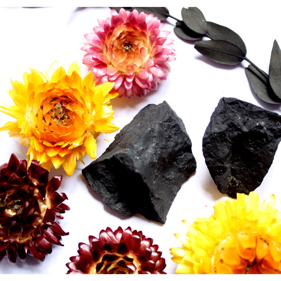 Shungite - Pierre Brute Ancrage Alignement Énergétique Ondes Électromagnétiques Stress Chakra Racine