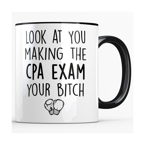 Funny CPA Exam Gift for Future Certified Public Accountant, Passing the CPA Exam Mug, Passed the Accounting Exam, Congratulations Gift