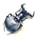 Augosoma Centaurus Pair - Real African Beetles Framed in Wooden Box - Etsy