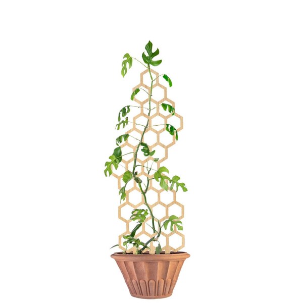 Indoor Plant Trellis Etsy