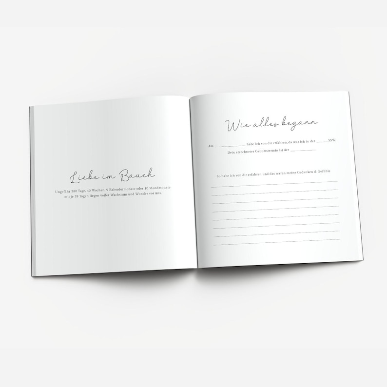 Pregnancy Journal - Love in the Belly | Gifts for Pregnant Women, Pregnancy image 3