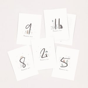 May include: A set of five white rectangular milestone cards featuring hand-drawn illustrations of animals and plants. Each card displays a large number and the German text "Monate alt," with designs including a bear, rabbit, and fox.