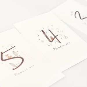 May include: Three white rectangular milestone cards featuring the numbers 5, 4, and 2 in a dark brown script font. Each card includes small illustrations of woodland animals and plants, with the German text MONATE ALT printed below the number.