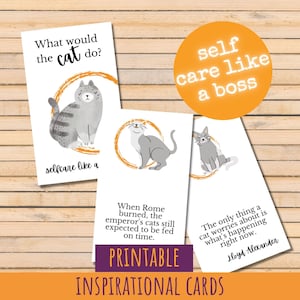 ¿Qué haría el gato? Tarjetas con citas de sabiduría, regalo peculiar para los amantes de los gatos, consejos para imprimir, cuidado personal como un jefe, regalo divertido para el mejor amigo,
