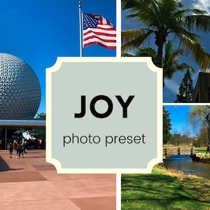Joy Photo Preset