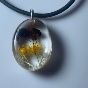 Bee in resin necklace discount